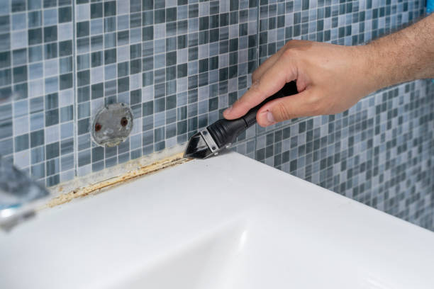 Best Local Mold Removal Service  in Forest View, IL